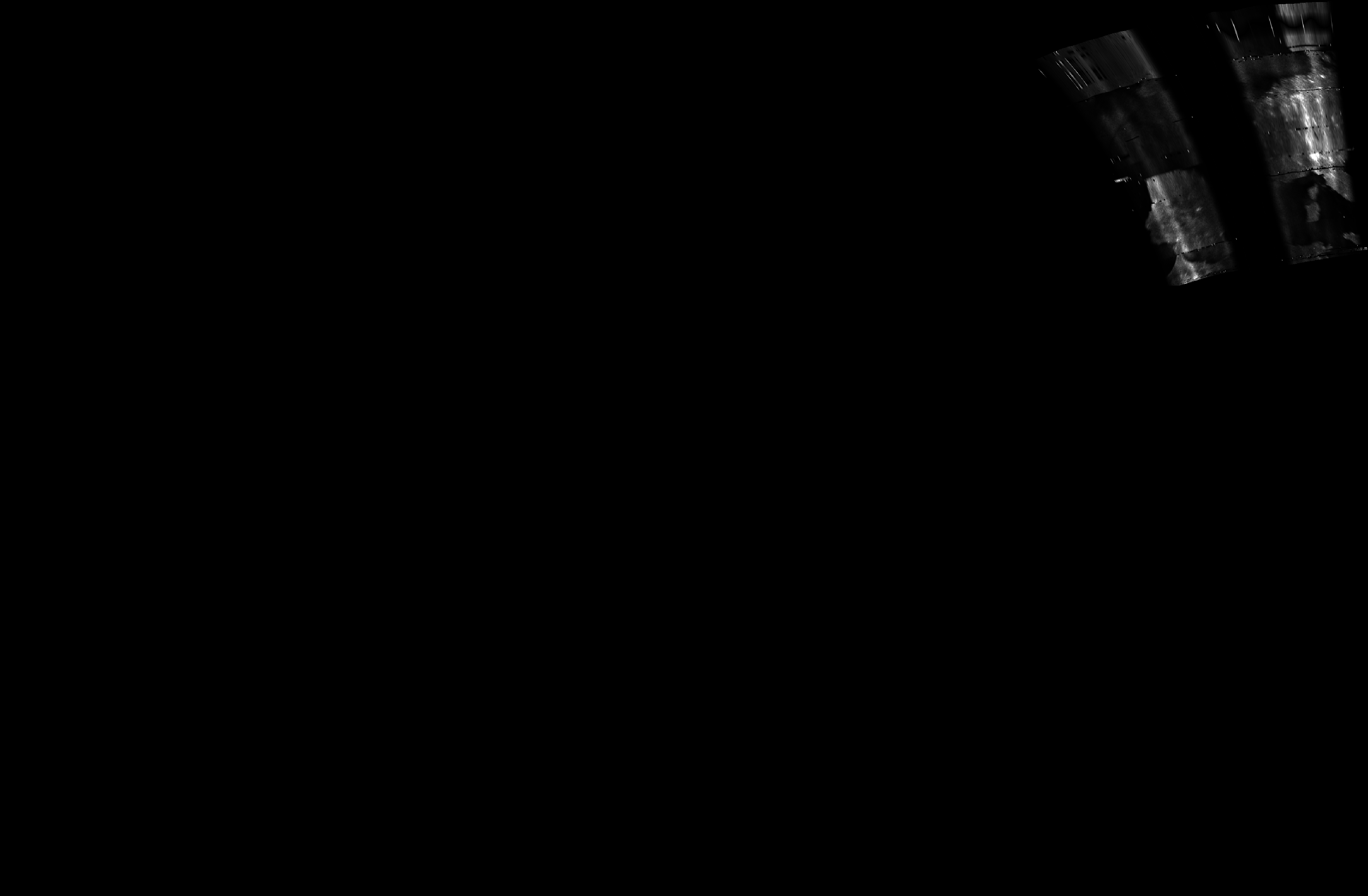 ascat_grayscale_proj_downward.png